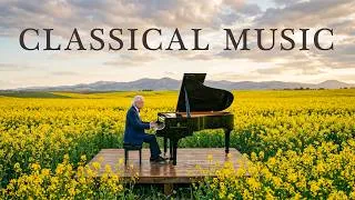 Thumbnail: The Most Beautiful Classical Music Ever Composed 🎼 Relaxing Piano Masterpieces