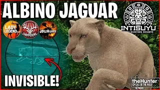 Thumbnail: This RARE Albino Jaguar Went INVISIBLE and Attacked Me! (COTW Peru)