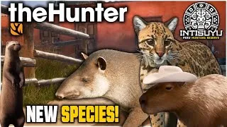 Thumbnail: The New Peru Map Species Are INSANE! NEW GREAT ONE??? The Hunter: Call of the Wild #cotw #thehunter 