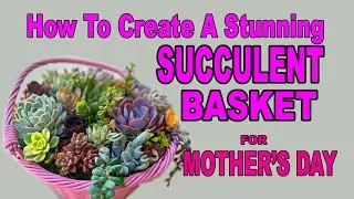 Thumbnail: How to Create a Stunning Succulent Basket That Mom Will Love (Better Than Flowers!)