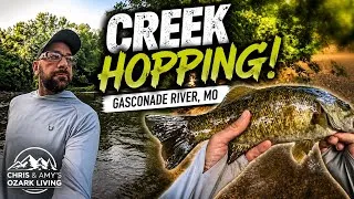 Thumbnail: Creek Hopping the Gasconade River! Epic Smallmouth Bass Fishing in Missouri 