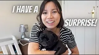 Thumbnail: Organising the House for a Surprise!