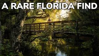 Thumbnail: We Found Florida’s Rare Natural Rapids | Hillsborough River State Park