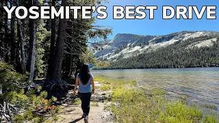 Thumbnail: We Drove Yosemite’s Most Scenic Road!