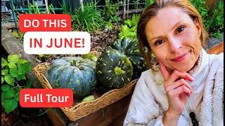 Thumbnail: WINTER GARDEN TOUR: What to plant in JUNE (Winter, Melb), what's growing now - and FREEBIE GIVEAWAY!