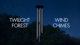 Thumbnail: Beautiful Wind Chime Sounds in a Twilight Forest