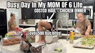 Thumbnail: 500 Bug Bites Later... Here's Our Costco Haul & Healthy Chicken Family Dinner