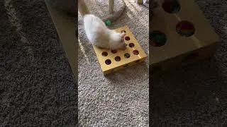 Thumbnail: Clara’s Christmas Present - Peek-a-Prize Toy Box