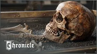Thumbnail: 4 Hours Of Facts About Our Ancient Ancestors