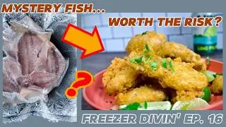 Thumbnail: Freezer Divin' Ep. 16 | Can Mystery Fish from the Freezer Become Incredible Baja Fish Tacos?