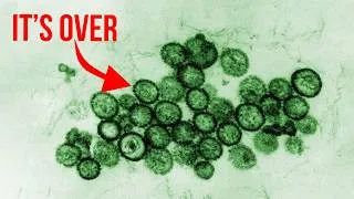 Thumbnail: Hantavirus Situation Is Insane