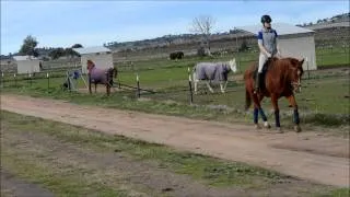 Thumbnail: little lloydie!