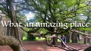 Thumbnail: Inside the 800-year-old Church, Hidden in a Welsh Abbey Ruins!