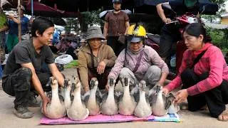 Thumbnail: Living in the Forest, Selling Geese to Buy Clothes for Grandma – But Then She Falls Ill