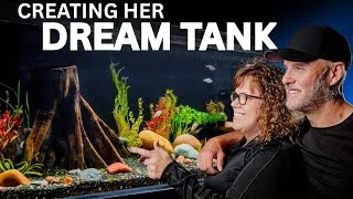 Thumbnail: My Wife's DREAM Planted Tank | Our First Team Project