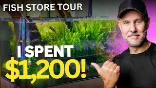 Thumbnail: The GREATEST Fish Store I've Ever Seen | I Traveled 1,700 Miles to See It (Zooxae)