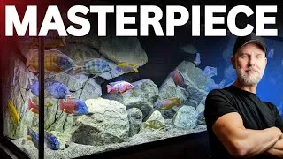 Thumbnail: These African Cichlid Tanks Are Absolutely STUNNING