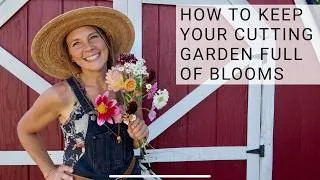 Thumbnail: 6 Easy Cut Flower Garden Tips for More Blooms All Summer