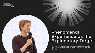 Thumbnail: Phenomenal Experience as the Explanatory Target (Franz Hildebrandt-Harangozó)