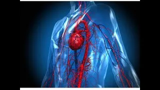 Thumbnail: CIRCULATORY SYSTEM- THE FULL COVERAGE- ANIMATION VERY INTERESTING- FOR ALL STUDENTS