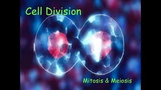 Thumbnail: cell and tissues part 2