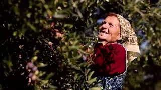 Thumbnail: Discover Italy With Citalia | Italy Holidays