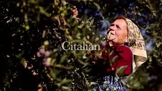 Thumbnail: Discover Italy With Citalia | Citalia Holidays