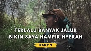 Thumbnail: INI YANG BIKIN SAYA KAPOK - SOLO HIKING GUNUNG LAWU VIA JOGOROGO 3 HARI 2 MALAM #PART3