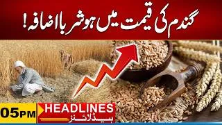 Thumbnail: Wheat Price Hike Once Again | 05PM News Headlines | 30 August 2026 | City 21