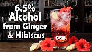 Thumbnail: Ginger, Hibiscus and 6.5% Alcohol! Easy Hard Seltzer