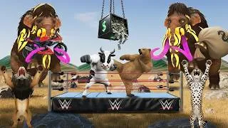 Thumbnail: Cow vs Bear Fight | Elephant Took Bike