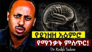 Thumbnail: የደነዘዘ አዕምሮ በምን ማንቃት ይቻላል?| Dr. Rodas Tadese| #dawitdreams #ethiopia #youtube