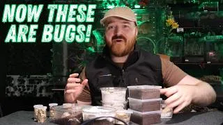 Thumbnail: Unboxing a Titan! And Why I Haven't Been Uploading as Much