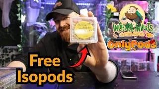 Thumbnail: I Won Some Free Isopods!