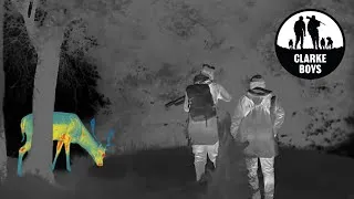 Thumbnail: POPULATION CONTROL! Deer Cull with Pulsar Optics