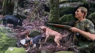 Thumbnail: River Boar bail up for young dogs