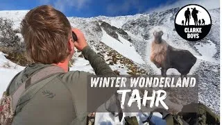 Thumbnail: Bull Tahr Hunt in Frozen Alps!