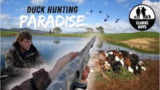Thumbnail: Duck Shooting NZ - Paradise Pond