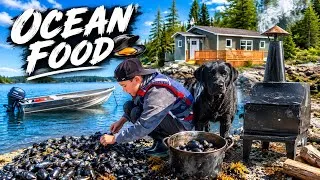 Thumbnail: Wild Mussels, Mosquito Stove = Great Off-Grid Evening !