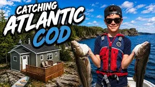 Thumbnail: Atlantic COD Catch & Cook, Exploring Abandon Fishing Village/ Coastline !