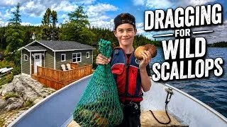 Thumbnail: Ocean Off-Grid: Wild Atlantic Scallops, Catch & Cook !