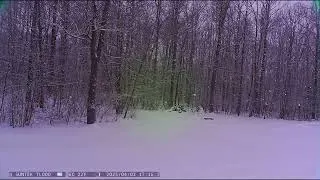 Thumbnail: April 2025 snow timelapse Northern Minnesota.
