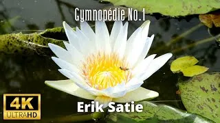 Thumbnail: Erik Satie – Gymnopédie No.1 | A Gentle Meditation on Sound and Stillness