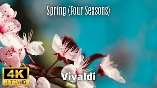 Thumbnail: Vivaldi: Spring | 4K Spring Scenery & Fun Facts | Classical Relaxation 4K