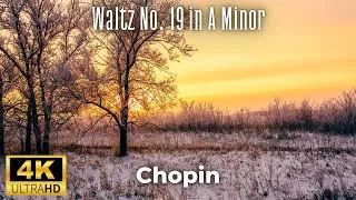 Thumbnail: Chopin - Waltz No. 19 in A minor 4K