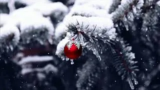 Thumbnail: Tchaikovsky - The Nutcracker Suite - Act I, No.9. The Christmas Tree (Christmas Song)