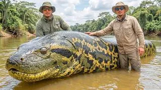 Thumbnail: 30 BIGGEST Jungle Animals Ever Caught on Camera!