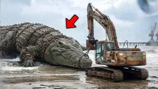 Thumbnail: 30 SCARIEST Crocodile Encounters Caught on Camera!
