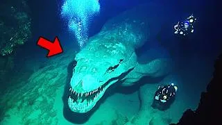 Thumbnail: 30 Times Divers Captured What No One Was Supposed to See