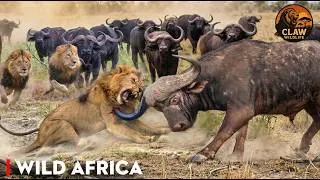 Thumbnail: Brutal Savannah: Africa’s Fiercest Battles for Survival | Wildlife Documentary